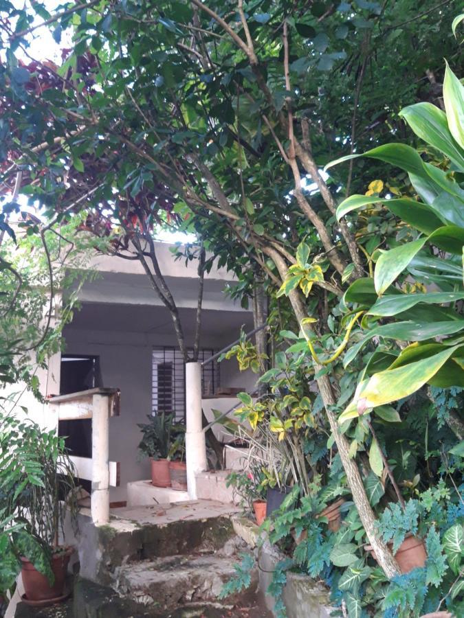 Ferienwohnung Au Jardin Fleuri Sainte-Anne Exterior foto